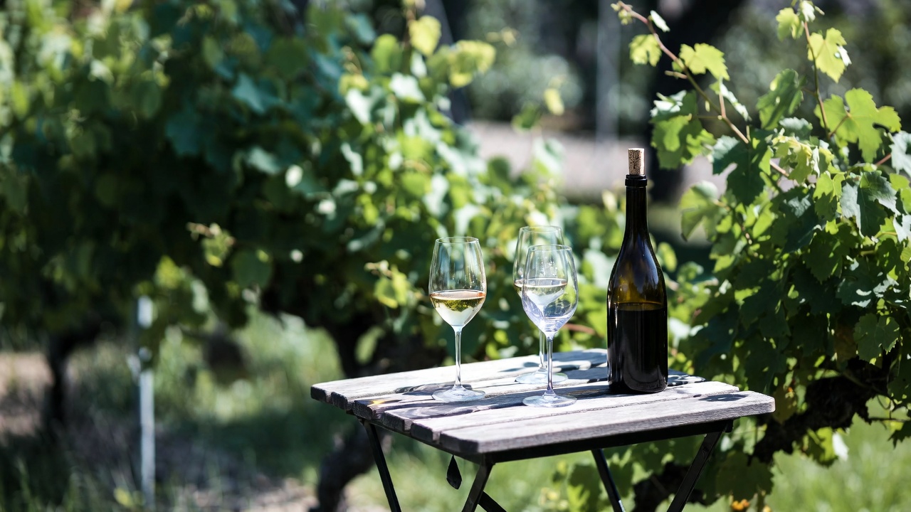 Outdoor seated wine tasting at a Napa Valley winery focused on regenerative farming, showing a quiet, low-impact tasting experience.