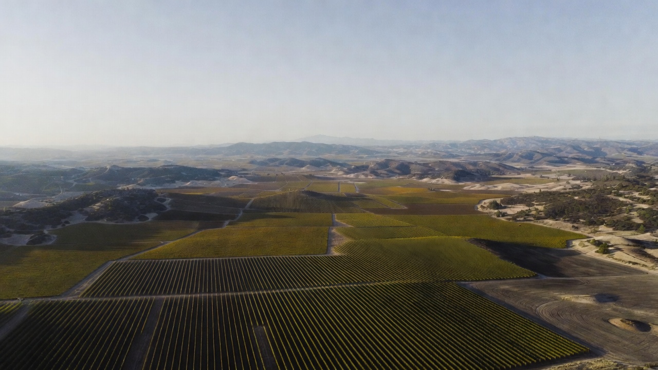 An elevated panoramic view from Rutherford Hill Road looking down at the geometric, repeating patterns of vineyard rows on the Napa Valley floor, highlighting the symmetry of the agricultural landscape.