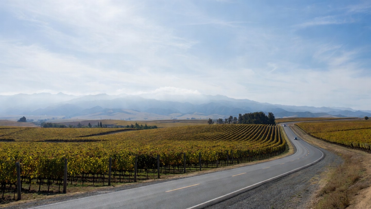 Silverado Trail in Napa Valley bordered by vineyards and the Vaca Range, illustrating a quiet route commonly used for self guided wine tours.