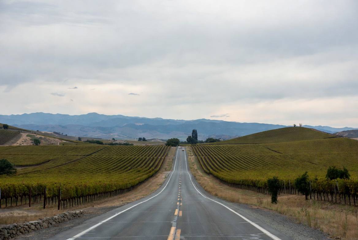 Scenic drive along Silverado Trail in Napa Valley with vineyards and hills, often chosen for reflective travel during a healing couples trip.
