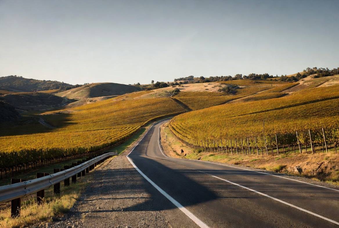 Scenic view along Silverado Trail in Napa Valley during late afternoon, representing a slow and intentional drive shared by a traveling couple.