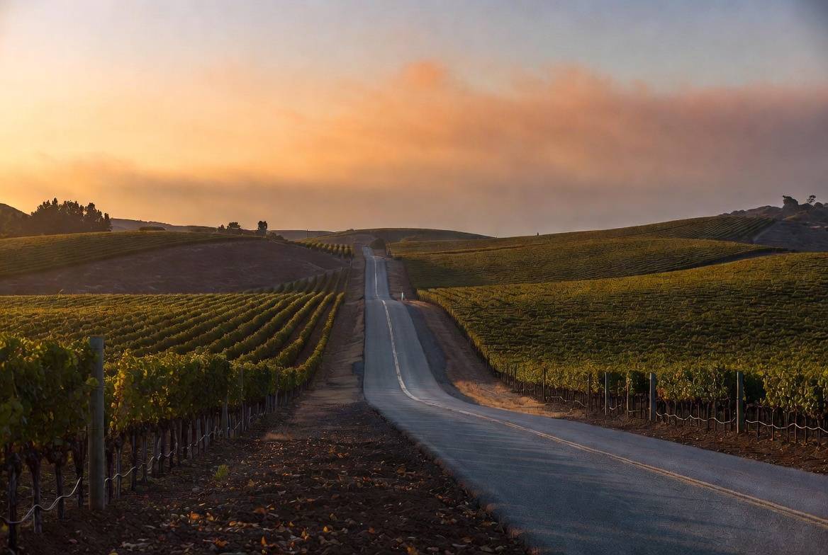 Scenic drive along Silverado Trail in Napa Valley with vineyards and hills, offering a calm and romantic alternative to busy Highway 29