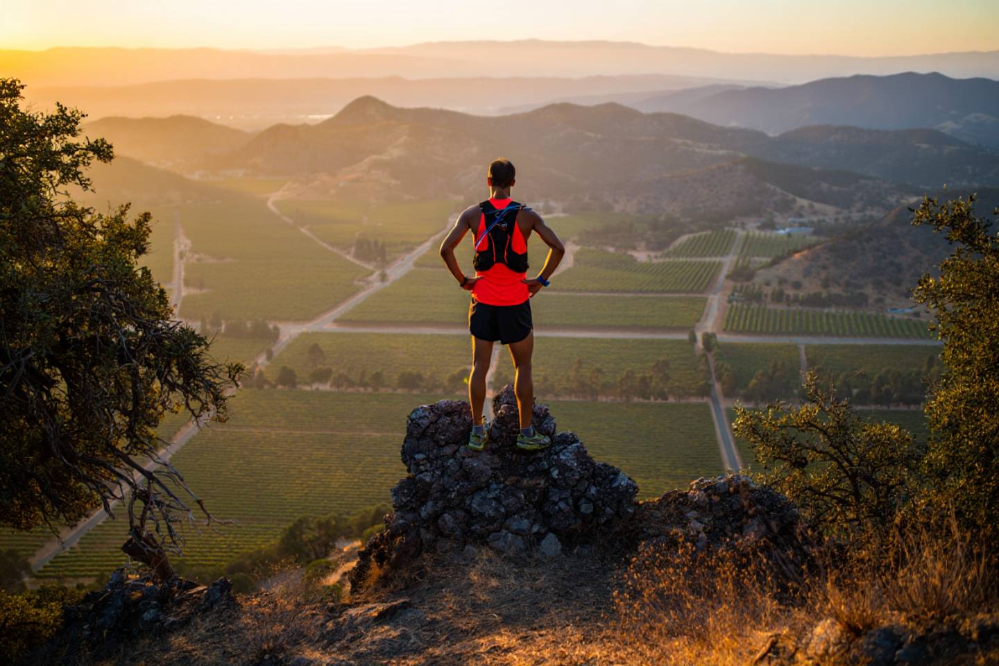 Trail runner on a ridge at Skyline Wilderness Park in Napa Valley with panoramic vineyard views at sunrise.
