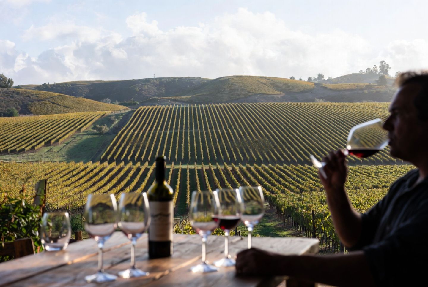 Outdoor wine tasting in St. Helena Napa Valley with unfined Cabernet on a wooden table overlooking organic vineyard rows with cover crops.