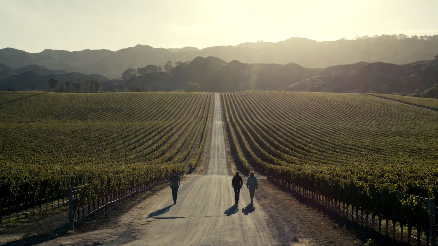 Two people walking along a quiet vineyard road on the Rutherford Bench in Napa Valley with rows of grapevines and soft afternoon light, illustrating vineyard walking and slow travel from the East Bay.