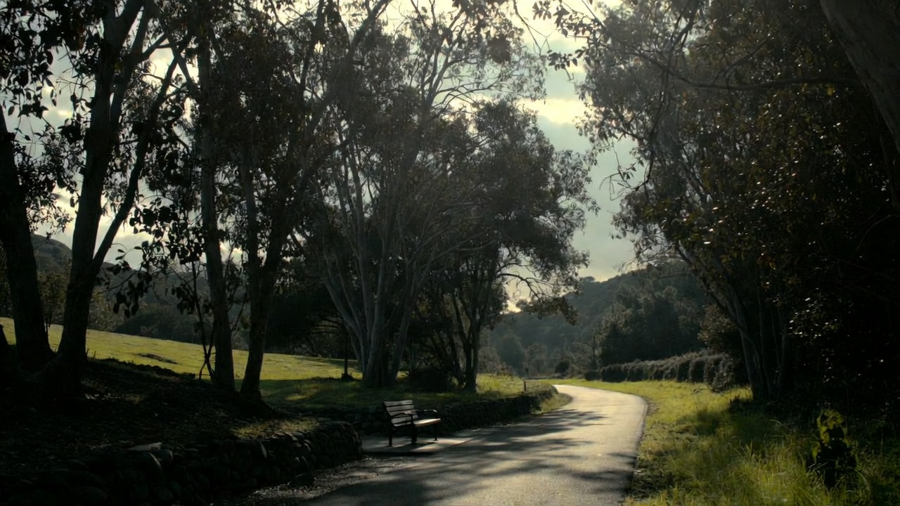  Shaded walking path along the Yountville Art Walk in Napa Valley, offering a peaceful space for reflection and gentle movement during a healthcare worker retreat.

