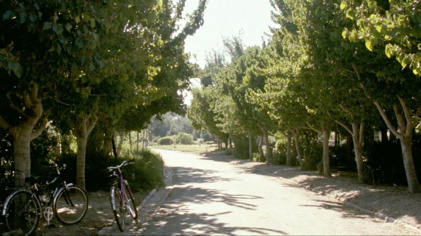 Quiet afternoon scene in Yountville, Napa Valley with tree lined paths and open gardens, reflecting a relaxed and wellness oriented wine country visit.